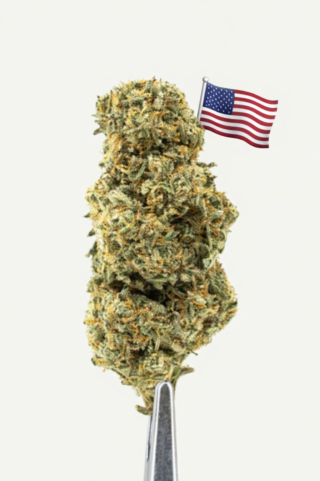 Cali Grape Indoor Premium USA